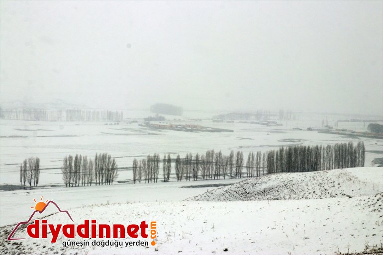 Ağrı da aralıklarla kar yağışı etkili oluyor3