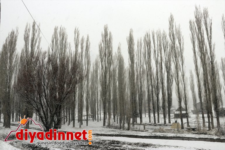 Ağrı da aralıklarla kar yağışı etkili oluyor6