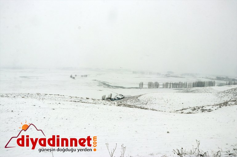 Ağrı da aralıklarla kar yağışı etkili oluyor8