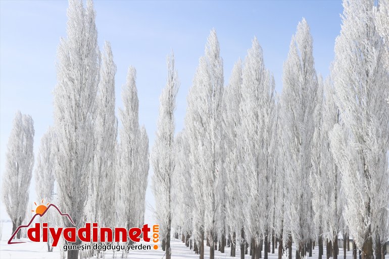 Ağrı da dondurucu soğuklar martta da etkisini sürdürüyor2