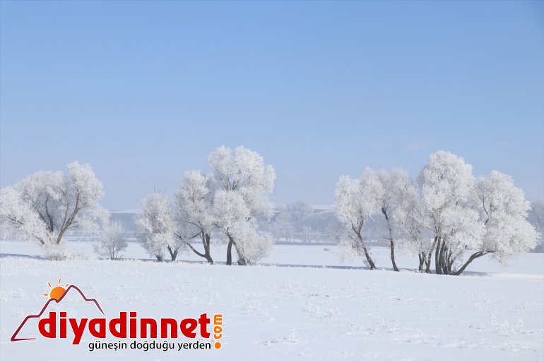 Ağrı da dondurucu soğuklar martta da etkisini sürdürüyor11