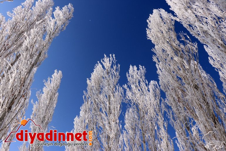 Ağrı da dondurucu soğuklar martta da etkisini sürdürüyor12