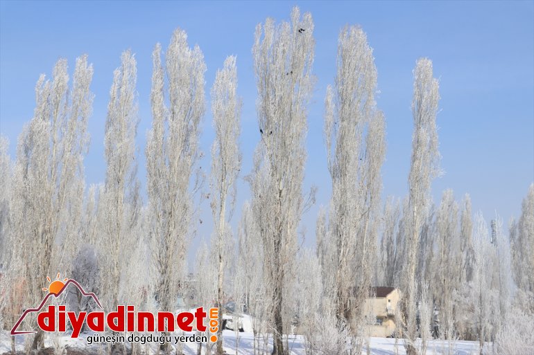 Ağrı da dondurucu soğuklar martta da etkisini sürdürüyor13