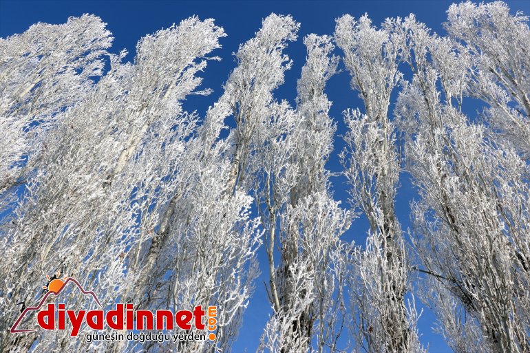 Ağrı da dondurucu soğuklar martta da etkisini sürdürüyor14