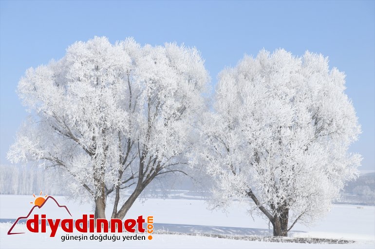 Ağrı da dondurucu soğuklar martta da etkisini sürdürüyor15