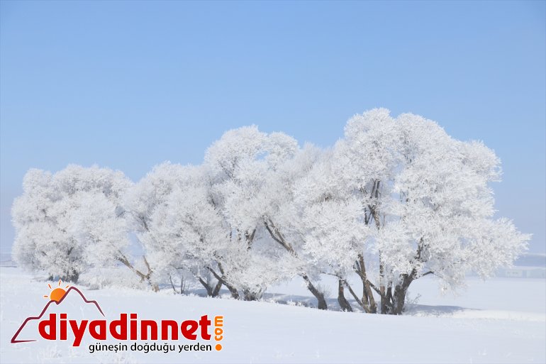 Ağrı da dondurucu soğuklar martta da etkisini sürdürüyor16