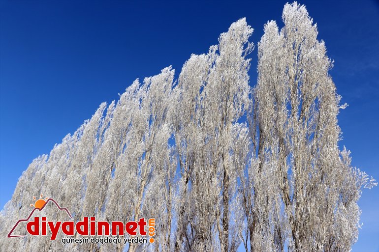 Ağrı da dondurucu soğuklar martta da etkisini sürdürüyor17