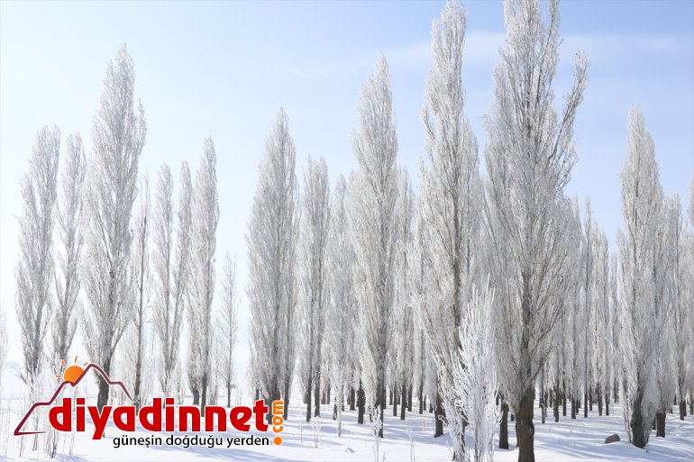 Ağrı da dondurucu soğuklar martta da etkisini sürdürüyor18