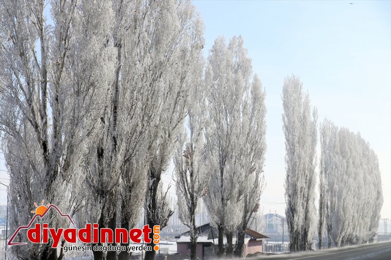Ağrı da dondurucu soğuklar martta da etkisini sürdürüyor19