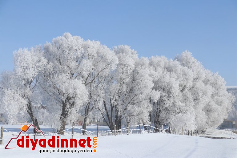 Ağrı da dondurucu soğuklar martta da etkisini sürdürüyor20