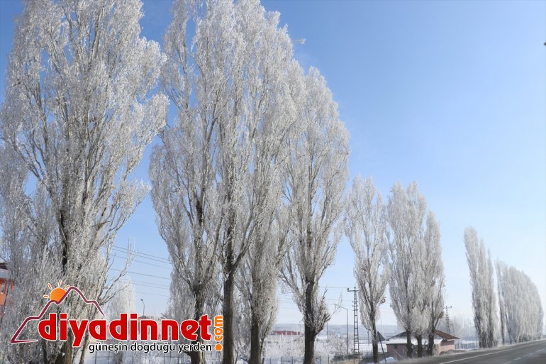 Ağrı da dondurucu soğuklar martta da etkisini sürdürüyor3