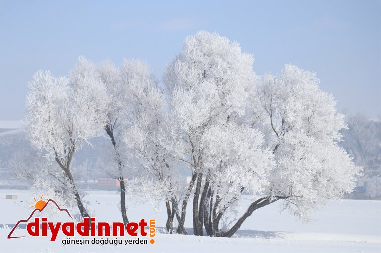 Ağrı da dondurucu soğuklar martta da etkisini sürdürüyor4