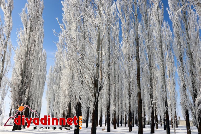 Ağrı da dondurucu soğuklar martta da etkisini sürdürüyor5