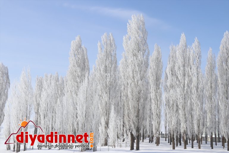 Ağrı da dondurucu soğuklar martta da etkisini sürdürüyor6