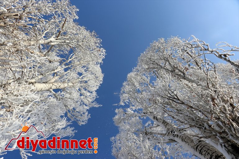 Ağrı da dondurucu soğuklar martta da etkisini sürdürüyor7