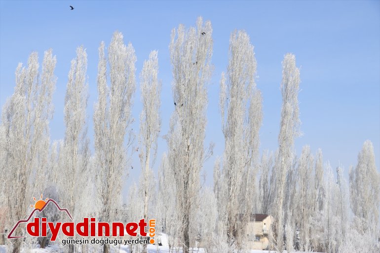 Ağrı da dondurucu soğuklar martta da etkisini sürdürüyor8