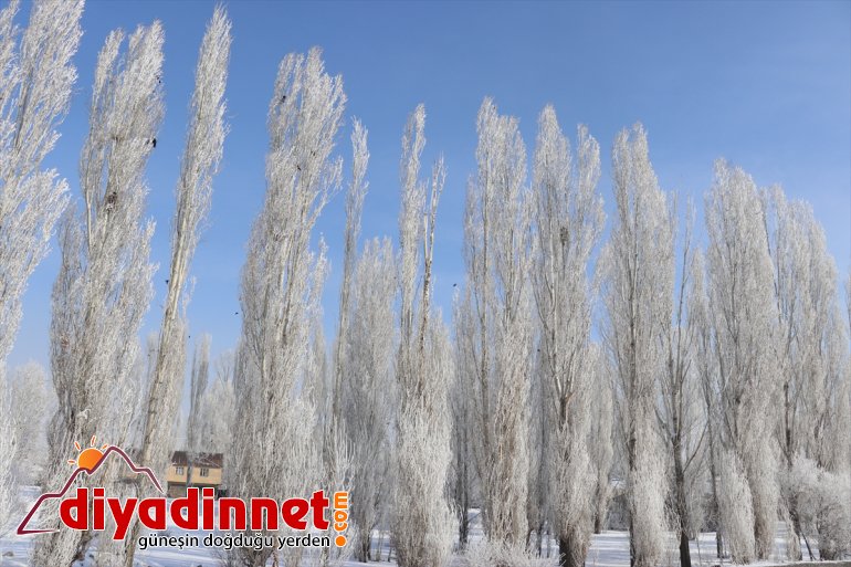 Ağrı da dondurucu soğuklar martta da etkisini sürdürüyor9