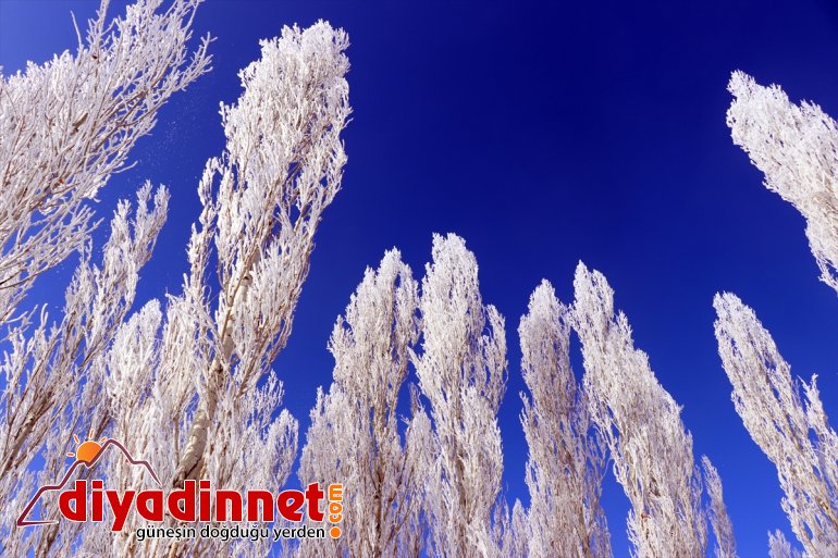 Ağrı da dondurucu soğuklar martta da etkisini sürdürüyor10