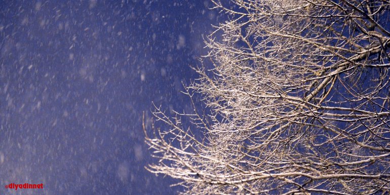 Ardahan'da kar yağışı etkili olmaya devam ediyor