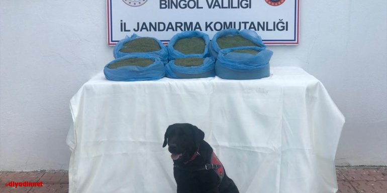 Bingöl'de uyuşturucu operasyonunda 22 şüpheli yakalandı