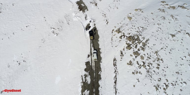 Bingöl'de ekipler karlı dağlara yaban hayvanları için 36 ton yem bıraktı
