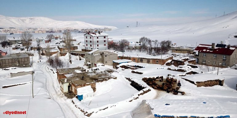Bitlis'te besiciler zorlu kış şartlarına rağmen hayvanların bakımını ihmal etmiyor