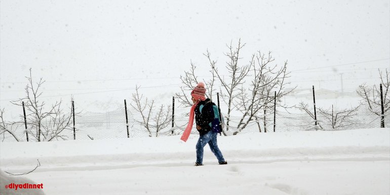 Van, Bitlis ve Muş'ta 317 yerleşim biriminin yolu kardan kapandı