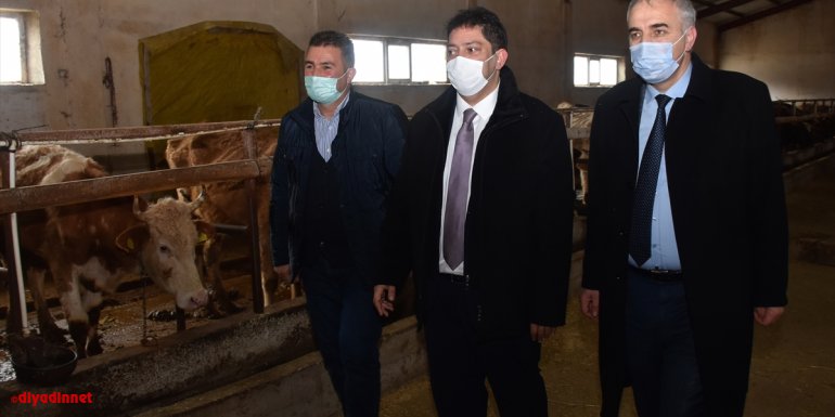 Erzurum'da yürütülen 'Süte Değer' projesi meyve vermeye başladı