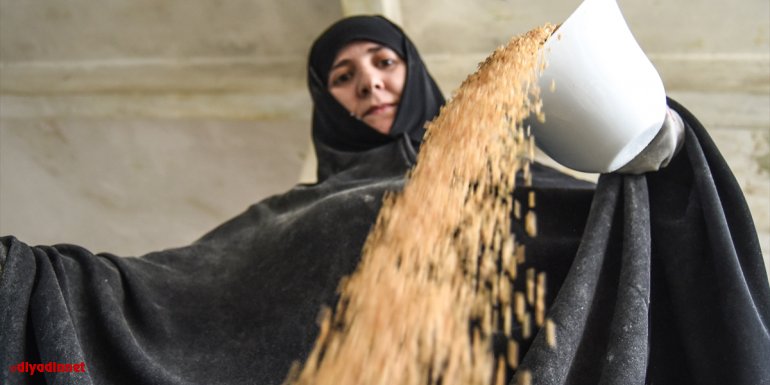 Devlet desteğiyle değirmen kuran kadın girişimci ata buğdayına sahip çıktı