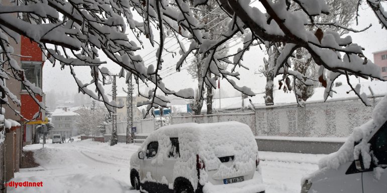 Kars'ta etkili olan sis ulaşımı aksattı