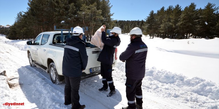 Kars'ta elektrik arıza ve sayaç okuma ekiplerinden yaban hayatına destek