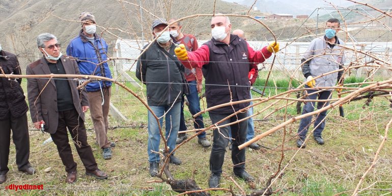 Keban'da bağ budama eğitimi verildi
