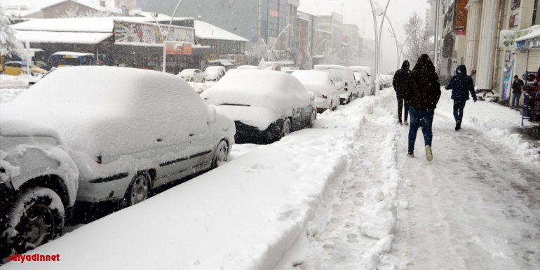 Kar nedeniyle Van, Muş ve Bitlis'te 172 yerleşim biriminin yolu kapandı