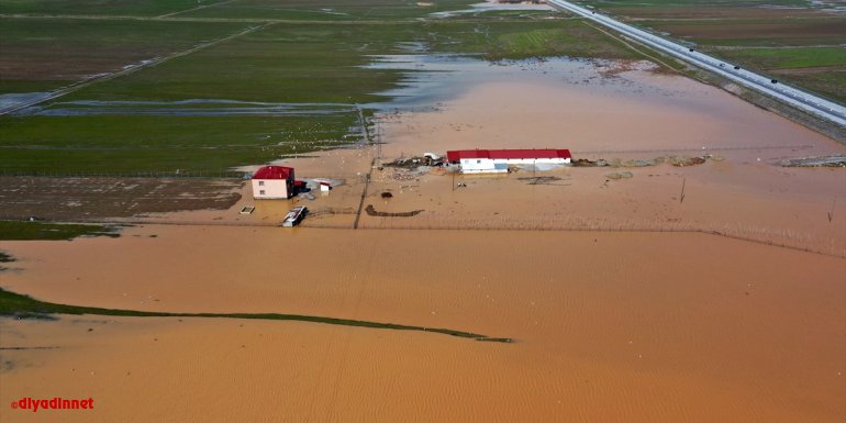 Muş'ta sağanak nedeniyle bazı tarım arazileri ve bir kaz çiftliği su altında kaldı