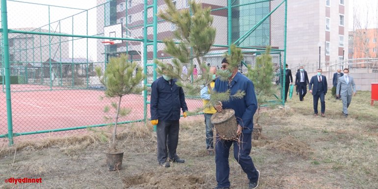 Şiddet sonucu hayatını kaybeden kadınların isimleri fidanlarla yaşatılacak