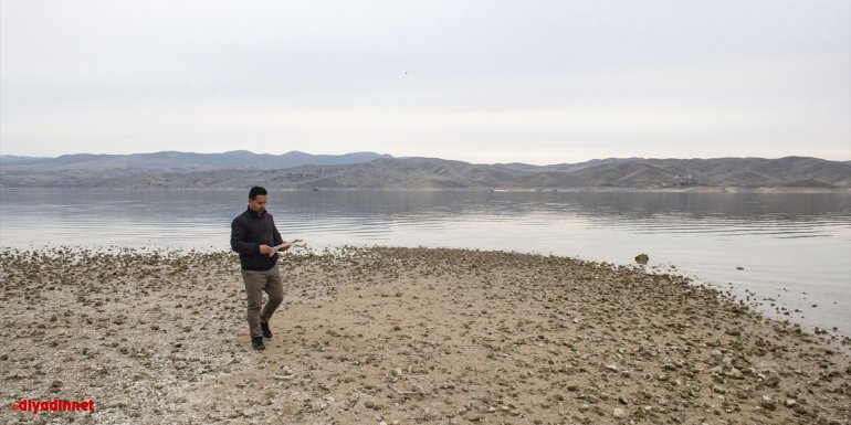 Tunceli'de biyoloji öğretmeni Keban Baraj Gölü'nün kıyısından topladığı ağaç dallarına hayat veriyor