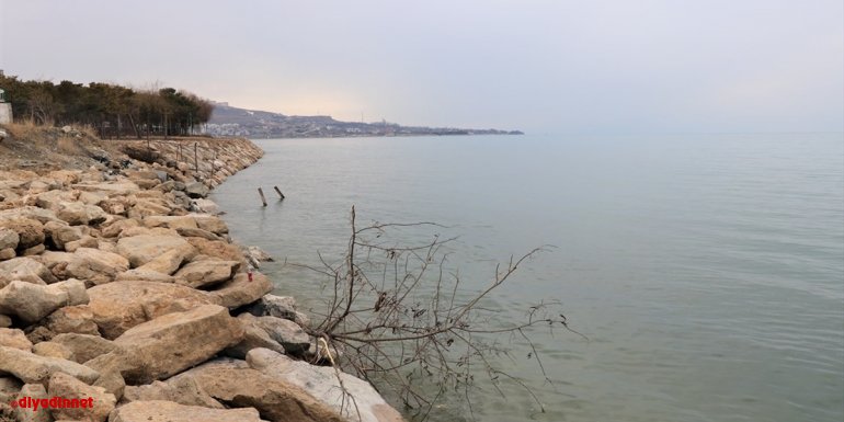 Van'da mesire alanındaki ağaçlar kimliği belirsiz kişi ya da kişilerce kesilerek göle atıldı