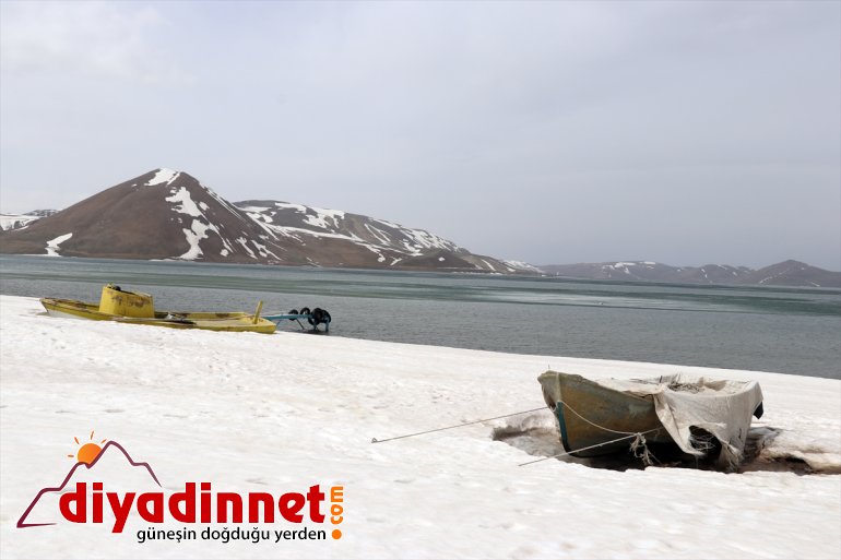 kaplı - Buzla AĞRI başladı Balık doğa çözülmeye harikası Gölü 14