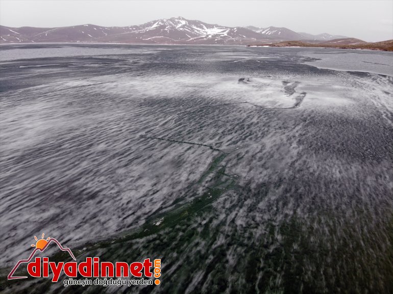 - harikası Balık doğa AĞRI kaplı başladı çözülmeye Gölü Buzla 4