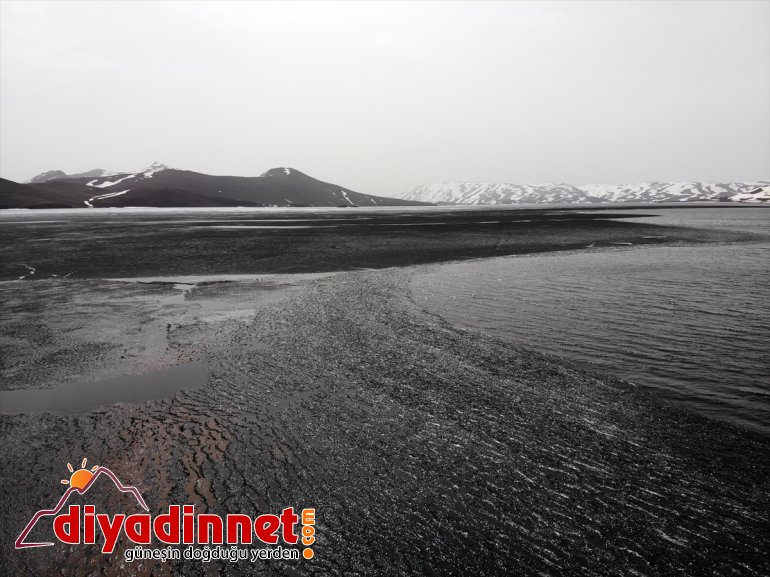 Balık harikası kaplı doğa çözülmeye Buzla Gölü başladı - AĞRI 6