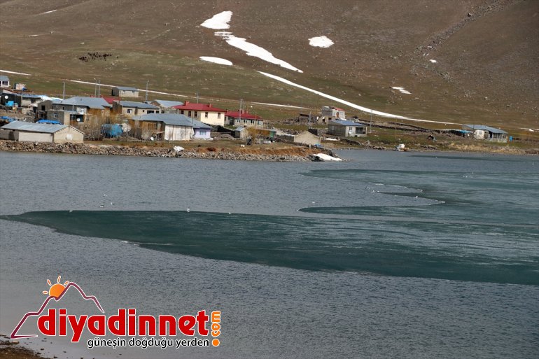 AĞRI Balık kaplı Gölü doğa çözülmeye harikası - Buzla başladı 9