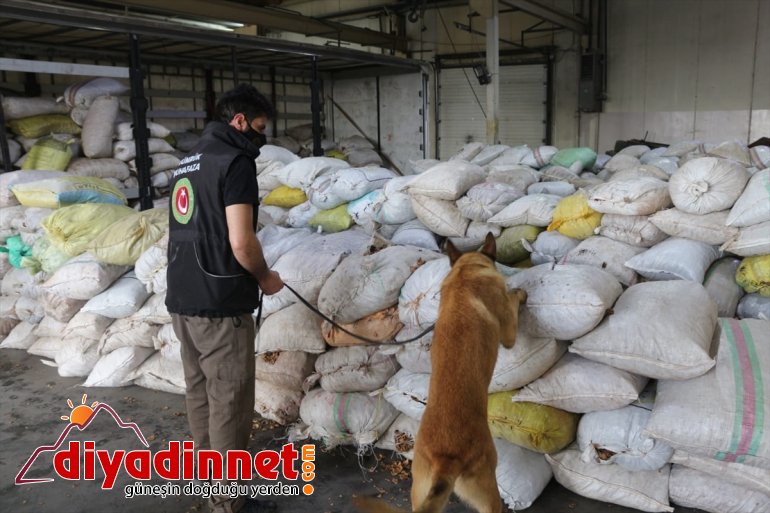 afyon Sınır ele geçirildi Kapısı