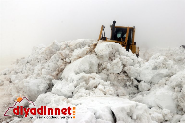 mücadele karla kaplanları