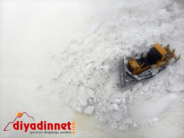 yoğun AĞRI kaplanları