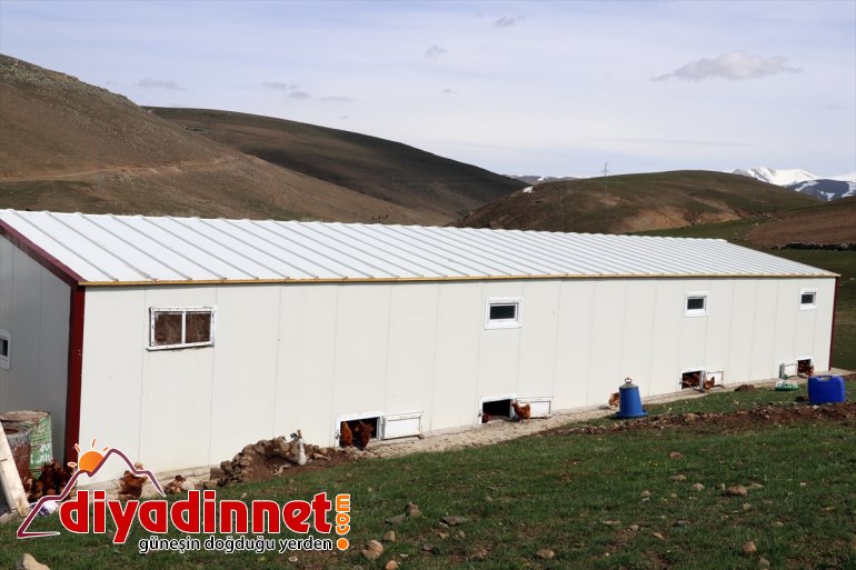 - kurdu çiftliği tavuk için Köyüne üretimi organik emekli AĞRI dönen yumurta memur, 16