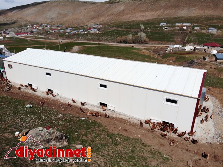 Köyüne çiftliği organik kurdu AĞRI tavuk dönen için memur, emekli - yumurta üretimi 18