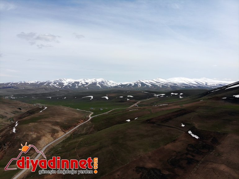 tavuk dönen - için emekli AĞRI Köyüne çiftliği yumurta kurdu memur, üretimi organik 19