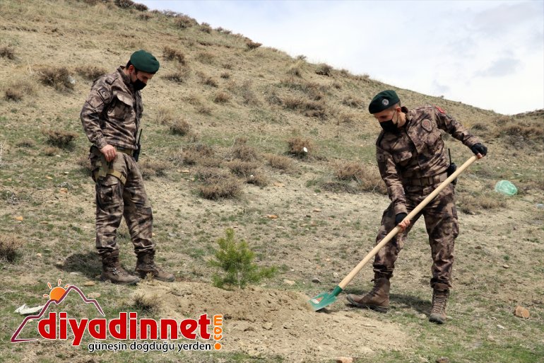 - dikti fidan şehit meslektaşlarının Polisler AĞRI anısına 1