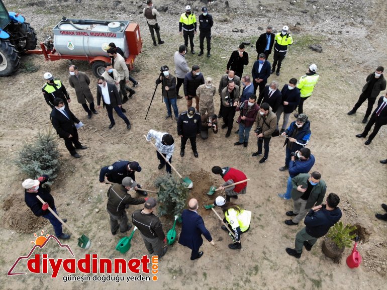 Polisler anısına fidan AĞRI meslektaşlarının dikti şehit - 11