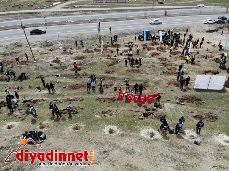 Polisler - şehit AĞRI meslektaşlarının anısına dikti fidan 12